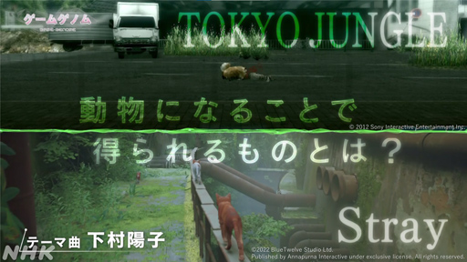 画像ギャラリー No.012のサムネイル画像 / NHK「ゲームゲノム」第10回「TOKYO JUNGLE/Stray」視聴レポート。ゲーマーの話題をさらった異色アニマルゲームに共通するものとは