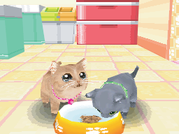 画像ギャラリー No.004のサムネイル画像 / 「かわいい子猫DS3」,発売日が12月2日に。ゲーム内容を紹介