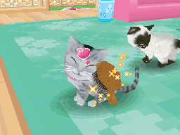 画像ギャラリー No.005のサムネイル画像 / 「かわいい子猫DS3」,発売日が12月2日に。ゲーム内容を紹介