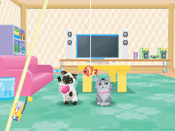 画像ギャラリー No.006のサムネイル画像 / 「かわいい子猫DS3」,発売日が12月2日に。ゲーム内容を紹介