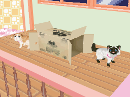 画像ギャラリー No.012のサムネイル画像 / 「かわいい子猫DS3」,発売日が12月2日に。ゲーム内容を紹介