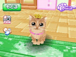 画像ギャラリー No.017のサムネイル画像 / 2匹の猫ちゃん達の仕草がキュートすぎ。「かわいい子猫DS3」の公式サイトが正式オープン