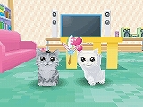 かわいい子猫DS3