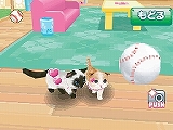 かわいい子猫DS3