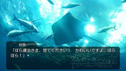 画像ギャラリー No.050のサムネイル画像 / 人か魔女か，幻想か。ミステリーアドベンチャーノベル，PS3「うみねこのなく頃に 〜魔女と推理の輪舞曲〜」，アルケミストより12月16日発売