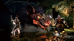画像ギャラリー No.022のサムネイル画像 / 相変わらず抜群の“暗さ”。PS3「DARK SOULS」，イラスト・最新スクリーンショット・トレイラームービーが到着