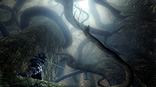 画像ギャラリー No.014のサムネイル画像 / 相変わらず暗過ぎる「DARK SOULS」の最新スクリーンショット15点が公開に。登場キャラやプレイヤーの絶命必至ポイントをチェックすべし