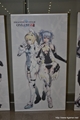 画像ギャラリー No.005のサムネイル画像 / エミリアとルミアの水着衣装,デューマンとキャストの「PSPo2i」衣装/パーツなど注目の新情報も飛び出した,「ファンタシースター感謝祭2013」札幌会場のレポートを掲載
