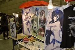 画像ギャラリー No.018のサムネイル画像 / エミリアとルミアの水着衣装,デューマンとキャストの「PSPo2i」衣装/パーツなど注目の新情報も飛び出した,「ファンタシースター感謝祭2013」札幌会場のレポートを掲載