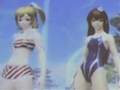 エミリアとルミアの水着衣装，デューマンとキャストの「PSPo2i」衣装/パーツなど注目の新情報も飛び出した，「ファンタシースター感謝祭2013」札幌会場のレポートを掲載
