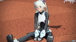 画像ギャラリー No.067のサムネイル画像 / 「PSO2」のグラフィックスが大幅強化されたので，俺のかわいいキャラをさらにかわいくしてみた。キャラクリは自分に正直が正義だ！