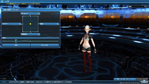 画像ギャラリー No.082のサムネイル画像 / 「PSO2」のグラフィックスが大幅強化されたので，俺のかわいいキャラをさらにかわいくしてみた。キャラクリは自分に正直が正義だ！