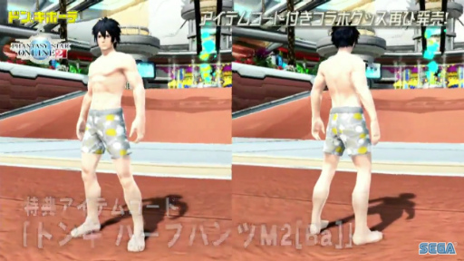 画像ギャラリー No.048のサムネイル画像 / セガフェス会場から公開生放送「PSO2 STATION！」レポート。通常クラスに新たなスキルが追加，そしてペルソナシリーズとのコラボが発表