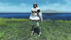 画像ギャラリー No.209のサムネイル画像 / 「PSO2」で「MHF-Z」コラボが本日スタート。「灼零龍エルゼリオン」が登場する期間限定クエストが登場