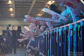 画像ギャラリー No.320のサムネイル画像 / 「ファンタシースター感謝祭2019」決勝会場フォトレポート。コスプレコンテストやミニライブを中心に会場の様子を紹介