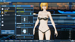画像ギャラリー No.066のサムネイル画像 / 「PSO2」，DirectX 11に対応したグラフィックスエンジンでゲーム画面はどう変わったのか。「PSO2：NGS」仕様になったキャラクリも紹介