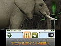 マーベラス，3DS専用動物園ライフゲームの正式タイトルを「アニマルリゾート 動物園をつくろう!!」に決定。“動物達とのコミュニケーション”要素とは？
