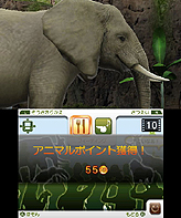 画像ギャラリー No.005のサムネイル画像 / マーベラス，3DS専用動物園ライフゲームの正式タイトルを「アニマルリゾート 動物園をつくろう!!」に決定。“動物達とのコミュニケーション”要素とは？