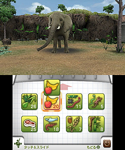 画像ギャラリー No.006のサムネイル画像 / マーベラス，3DS専用動物園ライフゲームの正式タイトルを「アニマルリゾート 動物園をつくろう!!」に決定。“動物達とのコミュニケーション”要素とは？