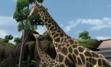 画像ギャラリー No.001のサムネイル画像 / 「アニマルリゾート 動物園をつくろう!!」動物紹介ページに6種類の動物追加