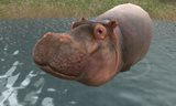 画像ギャラリー No.002のサムネイル画像 / 「アニマルリゾート 動物園をつくろう!!」動物紹介ページに6種類の動物追加