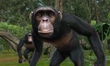 画像ギャラリー No.003のサムネイル画像 / 「アニマルリゾート 動物園をつくろう!!」動物紹介ページに6種類の動物追加
