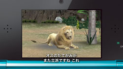 画像ギャラリー No.010のサムネイル画像 / 東武動物公園の飼育係が「アニマルリゾート」に挑戦，3本の映像が公開に