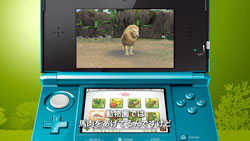 画像ギャラリー No.011のサムネイル画像 / 東武動物公園の飼育係が「アニマルリゾート」に挑戦，3本の映像が公開に