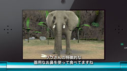 画像ギャラリー No.013のサムネイル画像 / 東武動物公園の飼育係が「アニマルリゾート」に挑戦，3本の映像が公開に