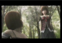 画像ギャラリー No.006のサムネイル画像 / Wii「零 眞紅の蝶」，3DS「カルドセプト」の2タイトルは2012年6月28日発売予定。バンダイナムコ，セガ，カプコン3社による3DS向けの新プロジェクトも始動