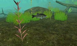 画像ギャラリー No.009のサムネイル画像 / アスキー・メディアワークス，リアルバスフィッシングゲーム「FISH ON」を6月9日に発売。水中をのんびり眺められる水中鑑賞モードを搭載