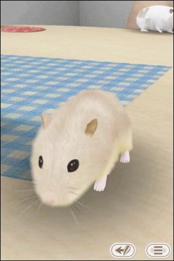 画像ギャラリー No.003のサムネイル画像 / iPhone，iPad用ペットコミュニケーション「HamTouch!」が期間限定で特価に