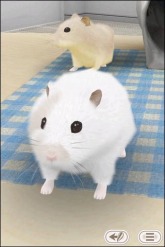 画像ギャラリー No.005のサムネイル画像 / iPhone，iPad用ペットコミュニケーション「HamTouch!」が期間限定で特価に