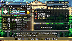 画像ギャラリー No.018のサムネイル画像 / PS3の人気作がPSPで登場！　アクアプラス，PSP用シミュレーションRPG「ティアーズ・トゥ・ティアラ−花冠の大地−PORTABLE」を11月25日に発売