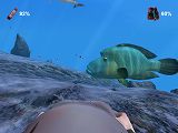 ダイバー チェックダイブ（日本語マニュアル付き英語版）
