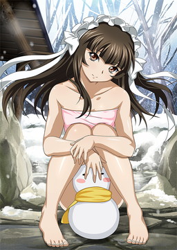 画像ギャラリー No.008のサムネイル画像 / 「ブラウザ一騎当千 爆乳争覇伝」に“温泉闘士”の後半分が登場