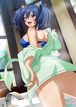 画像ギャラリー No.010のサムネイル画像 / 「ブラウザ一騎当千 爆乳争覇伝」に“温泉闘士”の後半分が登場