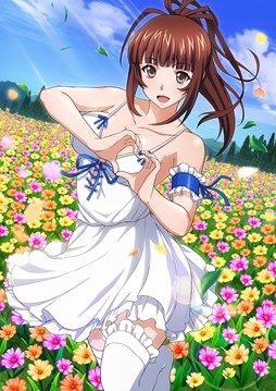 画像ギャラリー No.008のサムネイル画像 / 「ブラウザ一騎当千」,トーシダスに「アイドル闘士(後半)」が登場