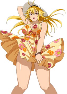 画像ギャラリー No.015のサムネイル画像 / 「ブラウザ一騎当千」,トーシダスに「アイドル闘士(後半)」が登場