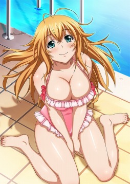 画像ギャラリー No.002のサムネイル画像 / 「ブラウザ一騎当千 爆乳争覇伝」，トーシダスに「水泳大会闘士」を11体追加