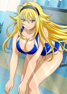 画像ギャラリー No.013のサムネイル画像 / 「ブラウザ一騎当千 爆乳争覇伝」，トーシダスに「水泳大会闘士」を11体追加