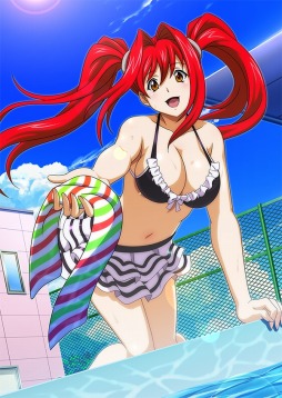 画像ギャラリー No.014のサムネイル画像 / 「ブラウザ一騎当千 爆乳争覇伝」，トーシダスに「水泳大会闘士」を11体追加
