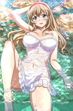 画像ギャラリー No.003のサムネイル画像 / 「ブラウザ一騎当千」，トーシダスに「濡れ透け（後半）」が登場