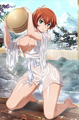 画像ギャラリー No.006のサムネイル画像 / 「ブラウザ一騎当千」，トーシダスに「濡れ透け（後半）」が登場