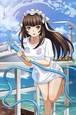 画像ギャラリー No.008のサムネイル画像 / 「ブラウザ一騎当千」，トーシダスに「濡れ透け（後半）」が登場