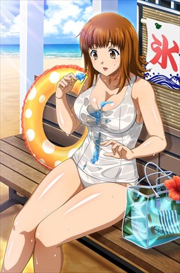 画像ギャラリー No.009のサムネイル画像 / 「ブラウザ一騎当千」，トーシダスに「濡れ透け（後半）」が登場