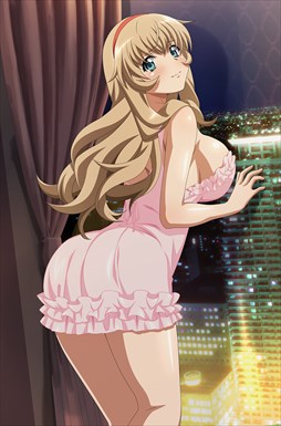 画像ギャラリー No.009のサムネイル画像 / 「ブラウザ一騎当千」，トーシダスに「ナイトドレス（前半）」が登場