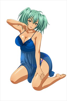 画像ギャラリー No.012のサムネイル画像 / 「ブラウザ一騎当千」，トーシダスに「ナイトドレス（前半）」が登場