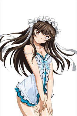 画像ギャラリー No.010のサムネイル画像 / 「ブラウザ一騎当千」，トーシダスに「ナイトドレス（後半）」が登場