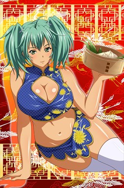 画像ギャラリー No.009のサムネイル画像 / 「ブラウザ一騎当千」，トーシダスに「変形チャイナ（後半）」を追加